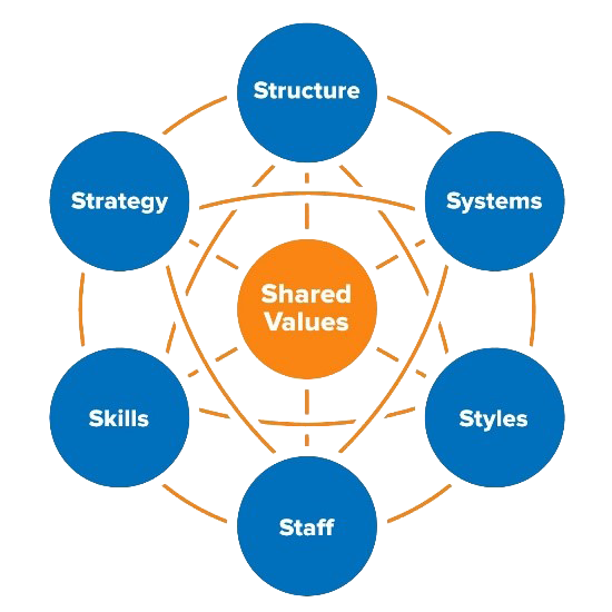 Mckinsey 7-S Model